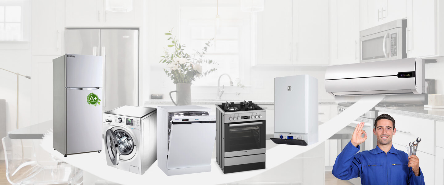 Büyükçekmece Electrolux Servisi